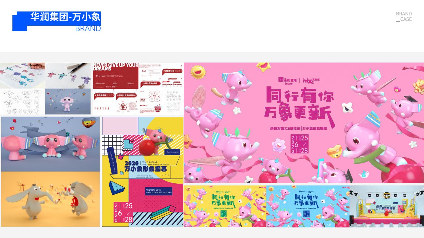 华润集团 · 万小象